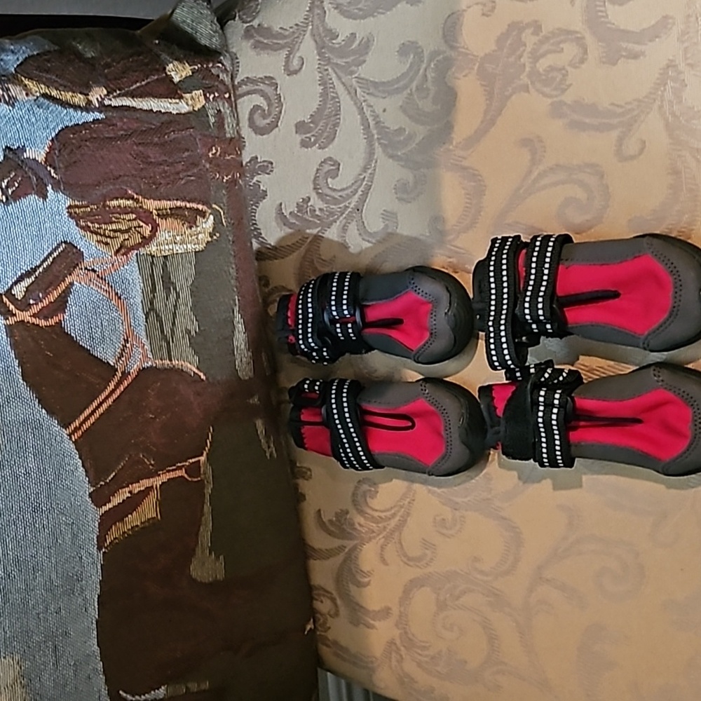 All weather 🐕 doggy boots